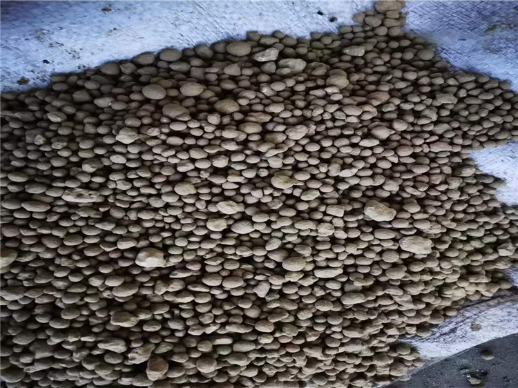 �ЙC(j��)�ʈA�P�����C(j��)�͑�ԇ�C(j��)�w��Ч��